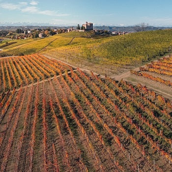Biologischer Weinanbau in Piemont - Familie Bula