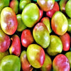 Bio getrocknete Mangostreifen
